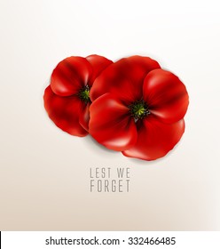 remembrance day - 11 november - lest we forget