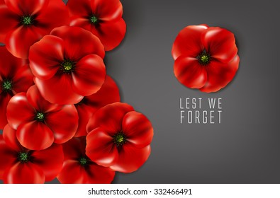 remembrance day - 11 november - lest we forget