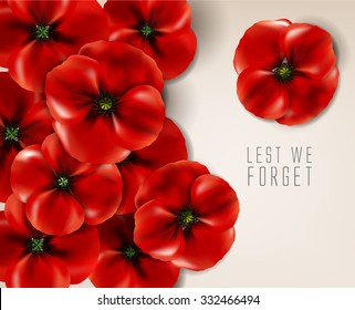 remembrance day - 11 november - lest we forget