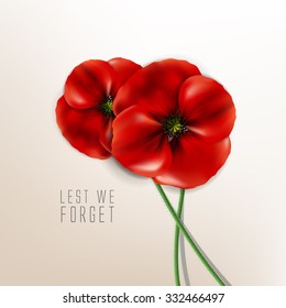 remembrance day - 11 november - lest we forget