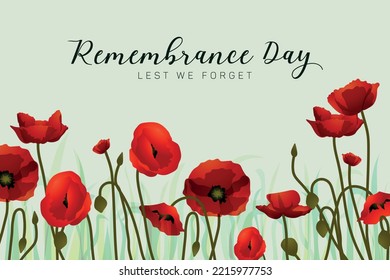 Remembrance day flat background concept illustration, poppy flower vector