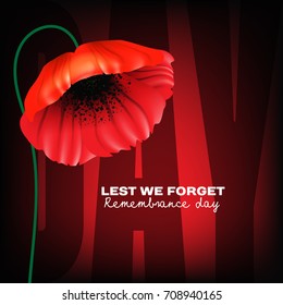 Remembrance Day greeting card. Beautiful. realistic red poppy flower on red background with lettering