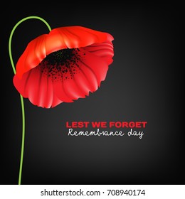 Remembrance Day greeting card. Beautiful. realistic red poppy flower on red background with lettering