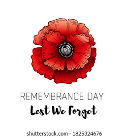 Remembrance day. Poppy with Lest we forget text. Armistice Remembrance and Anzac background. Flower illustration for world war memorial. 11th november poster. Canada, Australia banner with red poppy