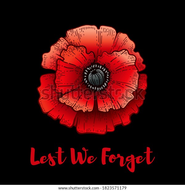 Remembrance Day Poppy Lest We Forget Stock Vector (Royalty Free ...