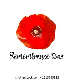 Remembrance Day vector card. Lest We forget. Realistic Red Poppy flower - international symbol of peace. Vector Illustration EPS 10 file.