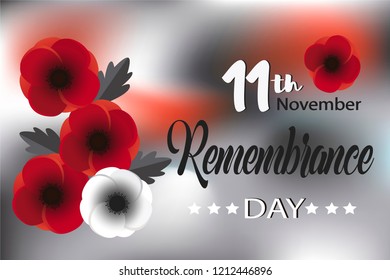 Remembrance day vector. Poppy flowers on blurred background illustration. 11th of November.