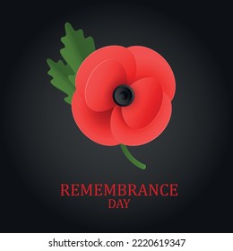 The remembrance poppy - poppy appeal. Poppy flower on black background. Decorative flower for Remembrance Day, Memorial Day, Canada and Great Britain. EPS10 vector.