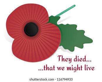 Remembrance Poppy Card