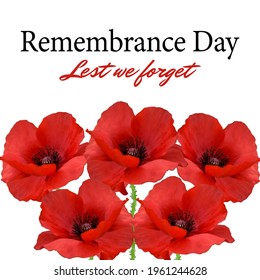 The remembrance poppy - poppies appeal. Modern paper design isolated on white. Decorative vector flower for Remembrance Day, Memorial Day, Anzac Day in New Zealand, Australia, Canada, Great Britain.