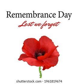 The remembrance poppy - poppies appeal. Modern paper design isolated on white. Decorative vector flower for Remembrance Day, Memorial Day, Anzac Day in New Zealand, Australia, Canada, Great Britain.