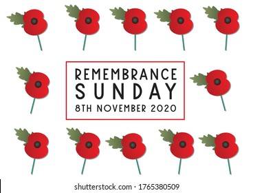 Remembrance Sunday poppies vector white background