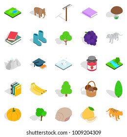 Remote place icons set. Isometric set of 25 remote place vector icons for web isolated on white background