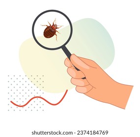 Remove Bed Bugs - Genus Cimex - Stock Illustration  as EPS 10 File