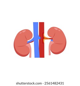 Renal Artery Stenosis, Cardiovascular Disease Illustration Icon