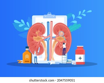 Renal failure illustration. Kidney disease. Kidney cross section.