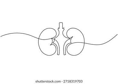 Renal System with Aorta and Vena Cava Continuous Line Art Anatomy