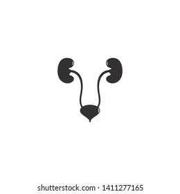 Renal system vector icon illustration design 