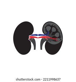 Renal System Vector Icon Illustration Design