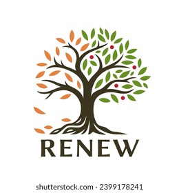 Renew tree emblem design. Seasons nature logo. Seasonal plant phases icon. Spiritual growth tree of life conpetual symbol. Vector illustration.