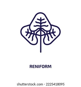 reniform icon from nature collection. Thin linear reniform, nature, obovate outline icon isolated on white background. Line vector reniform sign, symbol for web and mobile