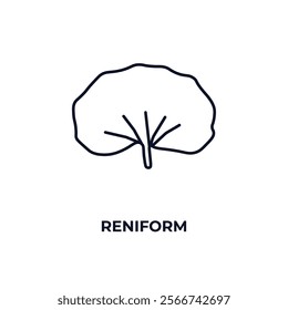 reniform outline icon. Linear vector from nature concept. Thin line reniform icon isolated on white background