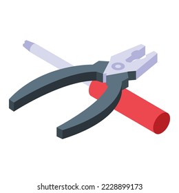 Repair hardware icon isometric vector. Computer work. Data engineer