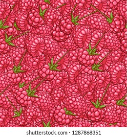 Repeat Hand Drawn Rasberry Pattern, Vecot Illustration