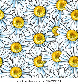 Repeat pattern with many chamomile, vector background illustration