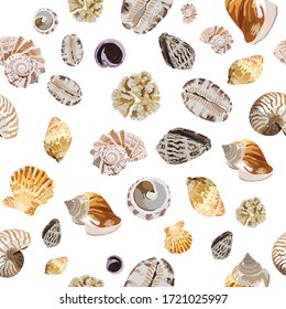 repeat pattern surface art shell collection Maldives