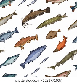 Repeatable pattern of different species of sea and freshwater fishes. Endless background with realistic print of salmon, tuna, trout, catfish, perch. Vintage hand drawn seamless vector illustration