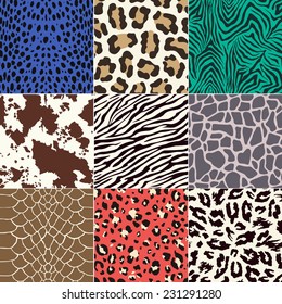 repeated animal skins print set