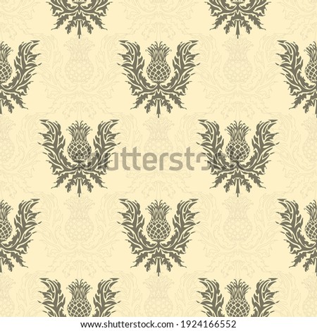 A repeating pattern of thistle, the symbol of Scotland, a sharp flower. Vector.