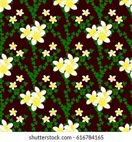 Repeating vector plumeria flowers pattern. Modern motley floral seamless pattern on a brown background.
