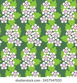 Repetitive Hawthorn flower pattern background.