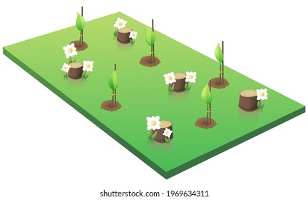 replantar un bosque después de talar árboles (cortar)