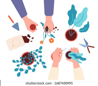 Replanting flowers. Protect nature, caring planting herb in ground. Top view hand and succulents growth. Botanical hobby vector illustration