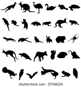 The representation of animals in Australia