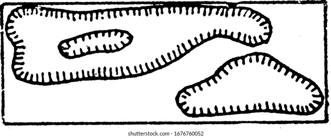 The representation of depression contours, vintage line drawing or engraving illustration.