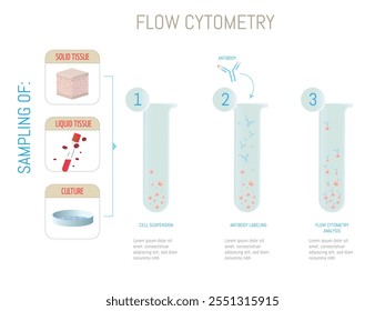 Representation of the flow cytometry process, including sampling of solid and liquid tissues and cultures, antibody labeling, and analysis.