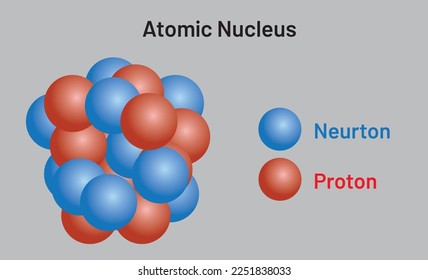 Representation of protons and neutrons in the atomic nucleus