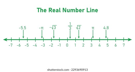 Representation of the real number line. Mathematics resources for teachers. Vector illustration isolated on white background.