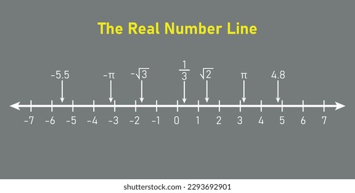 Representation of the real number line. Mathematics resources for teachers. Vector illustration isolated on white background.