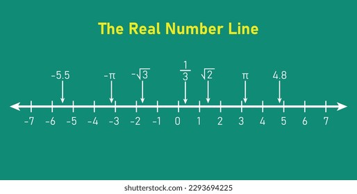 Representation of the real number line. Mathematics resources for teachers. Vector illustration isolated on white background.
