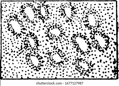 Representación de las dunas de arena, en un mapa topográfico, dibujo de líneas antiguas o ilustración grabadora.