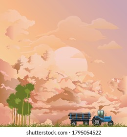 Representation of tropical rain forest deforestation by illegal logging activity set against a dawn or dusk pink sky
