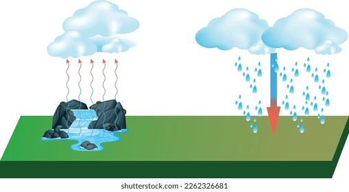 Representation of the water cycle vector