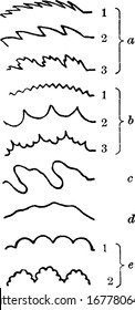 Represents, shapes of margins of leaves. a (1), finely serrate; (2), coarsely serrate; (3), doubly serrate. b (1), finely dentate; and other, vintage line drawing or engraving illustration.