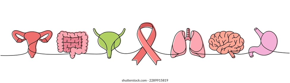Reproductive system, intestines, bladder, lungs, stomach, brain one line colored illustration. Cancer ribbon continuous one line colorful illustration