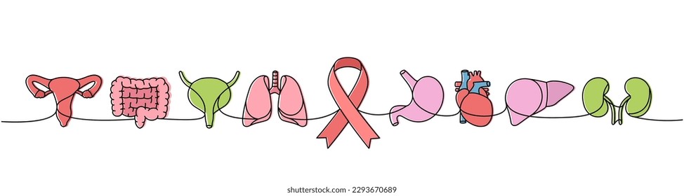 Reproductive system, intestines, bladder, lungs, stomach, heart, liver, kidneys one line colorful colored illustration. Cancer ribbon one line symbols